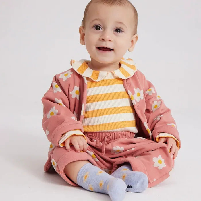 Flowers rose ( set )