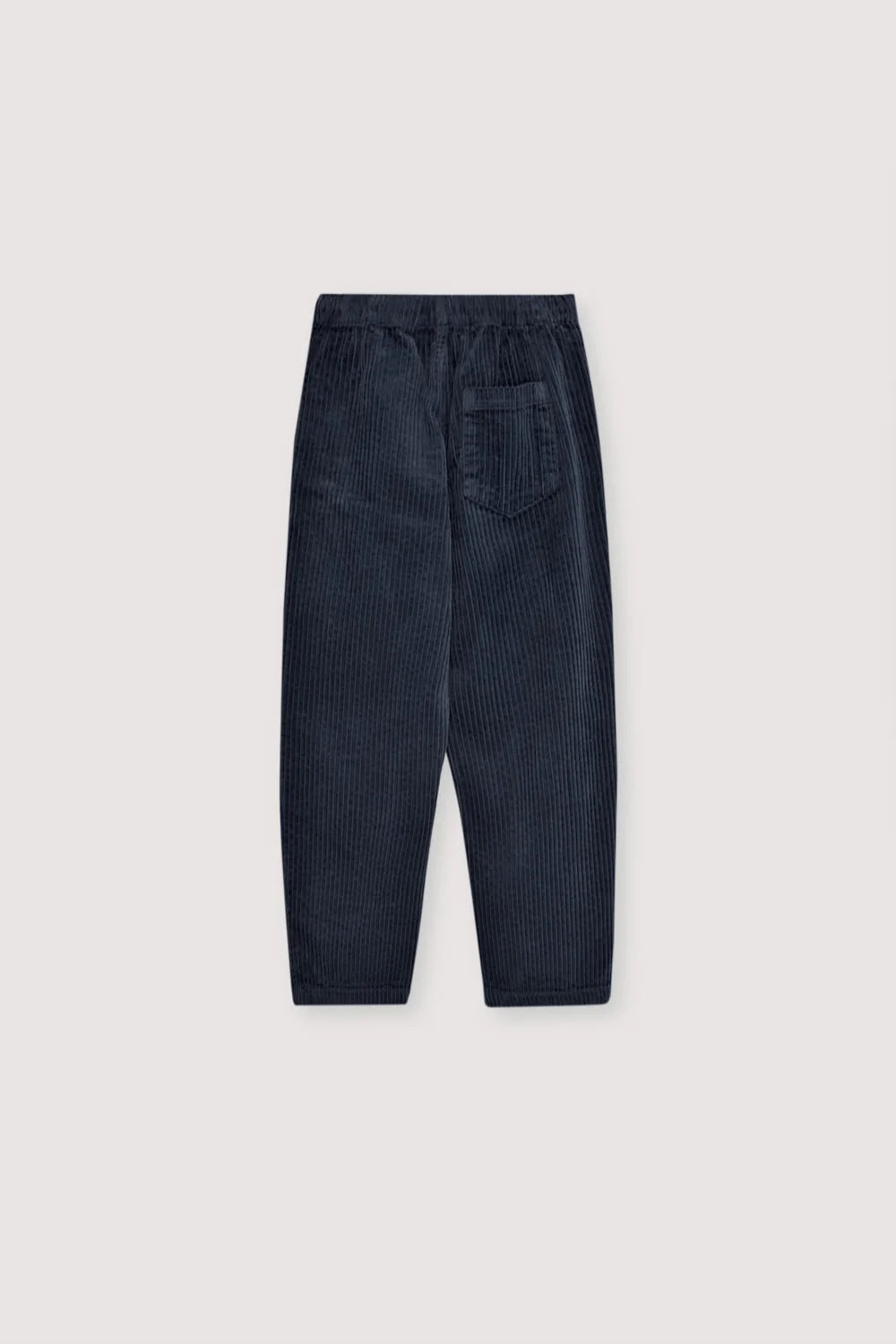 Nicol Pant Infinite Navy