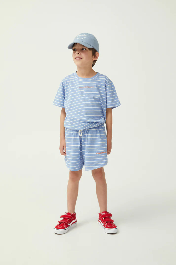 Striped Summer Runner Short - Grapemist