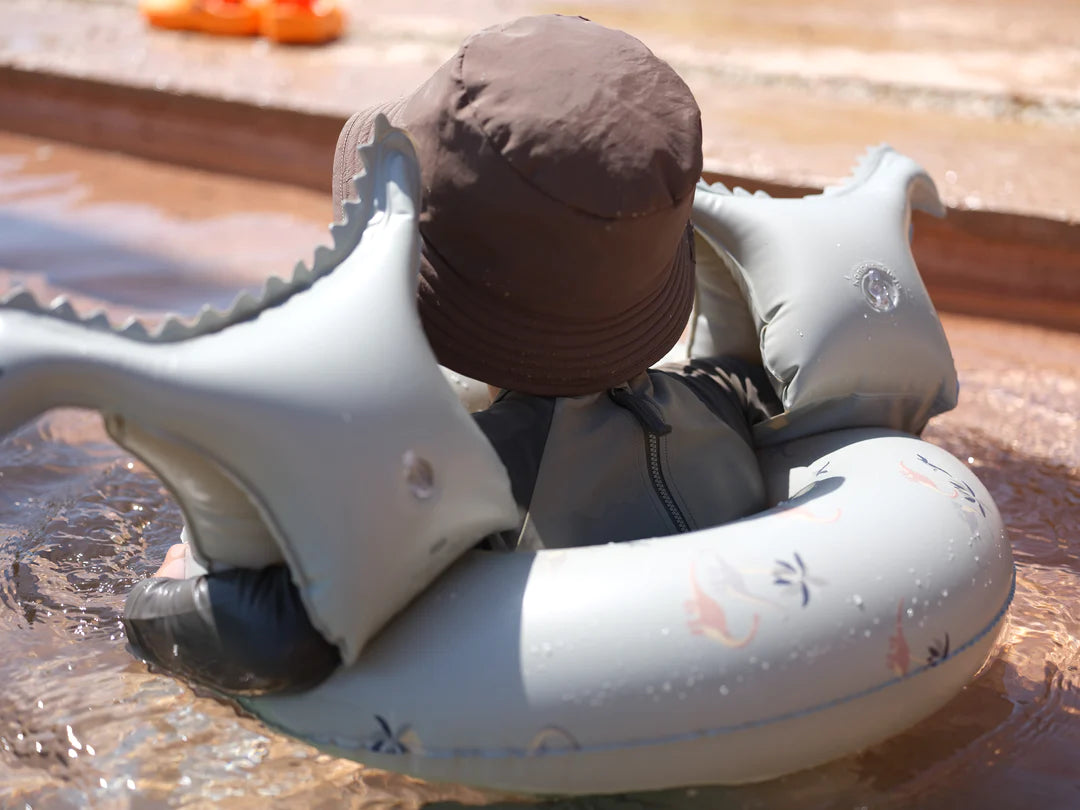 Dino Water Wings